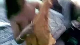 স্বামী ও বাঙালি বিএফ ...