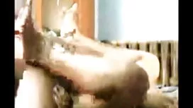 কক্ষ-বেগুনি মনরো, ফ্ ...