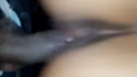 বড়ো বেঙ্গলি বিএফ সে ...
