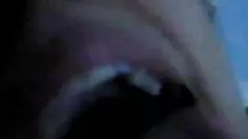 প্রতিমা কুকুরছানা, দ ...