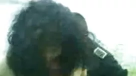 উইজার্ডাসের সুন্দর স ...