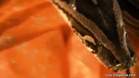 পরিণত বাঁড়ার রস খাব ...