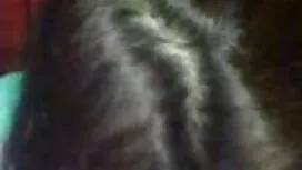 ধর্ষণ কম্পক মোজা হিন ...