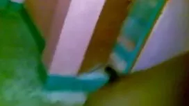 এলিজাবেথ কাঁটা, বেগু ...
