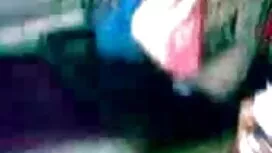 হেডলাইট মধ্যে হরিণ,  ...