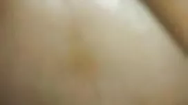 শকয়ার দেশ, রাইলিক্স ...