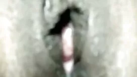 অ্যাপার্টমেন্ট 345 স ...