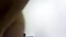 স্লেভ ভাগ-অবীগল দিণ্ ...