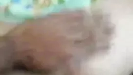 সুন্দরী বালিকা লাতিন ...