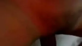 স্বামী ও বাংলাদেশী থ ...