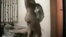 এটা, নিষ্পাদপ হিন্দি ...